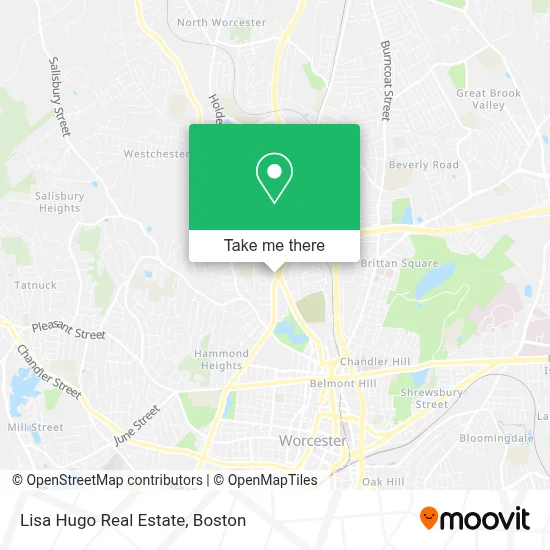 Lisa Hugo Real Estate map