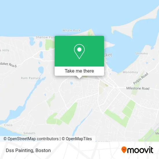 Dss Painting map