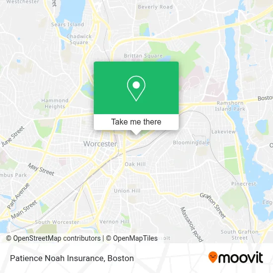 Patience Noah Insurance map