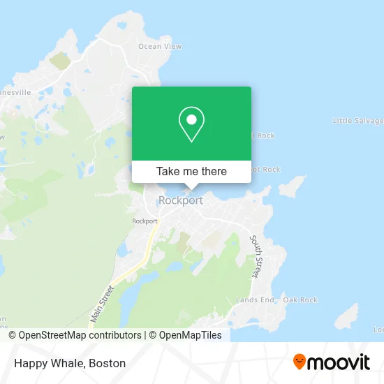 Happy Whale map