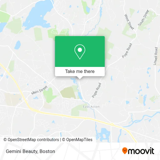 Gemini Beauty map