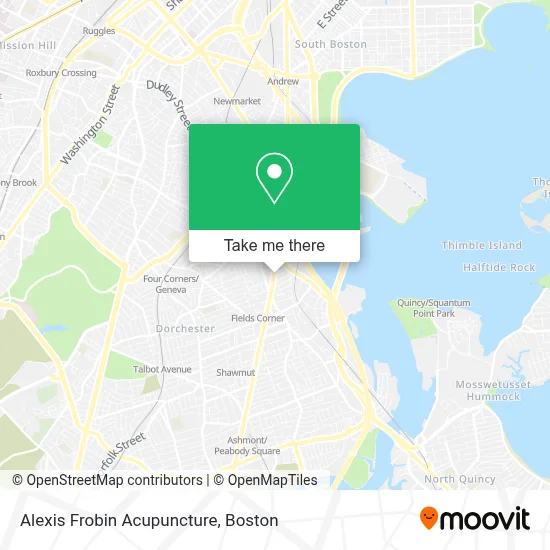 Alexis Frobin Acupuncture map