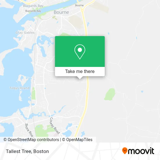 Tallest Tree map