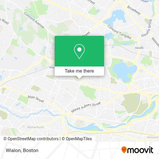 Wialon map