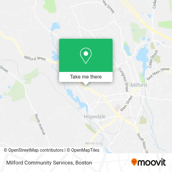 Milford Community Services map