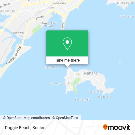 Doggie Beach map