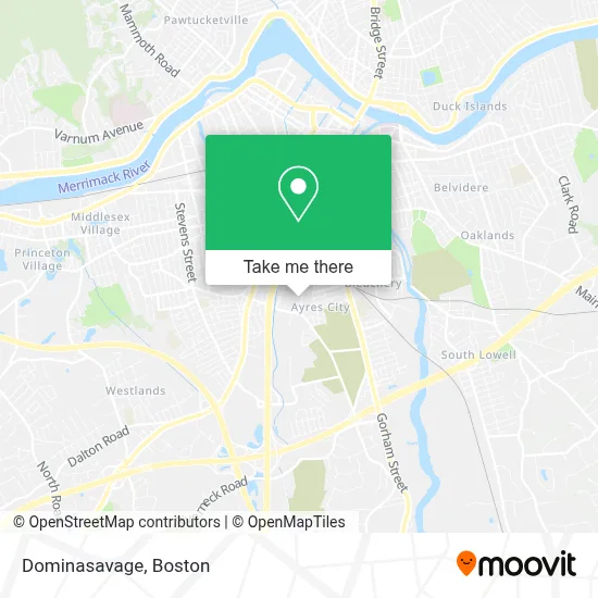 Dominasavage map