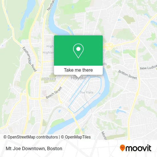 Mt Joe Downtown map