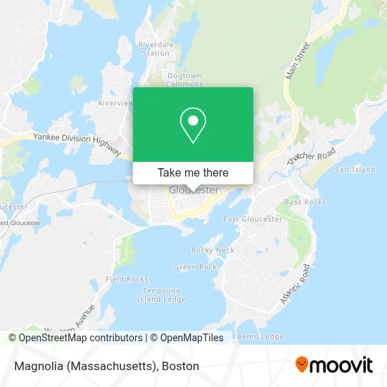 Magnolia (Massachusetts) map
