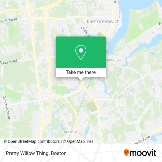 Pretty Willow Thing map