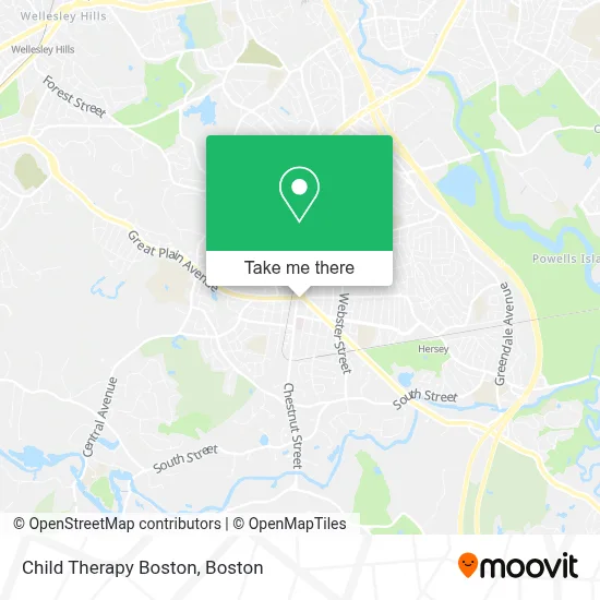 Child Therapy Boston map