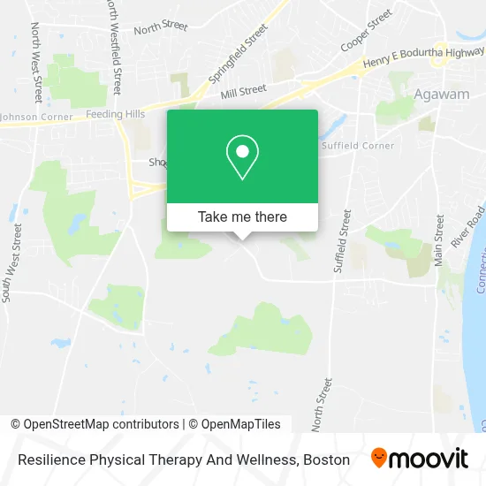 Resilience Physical Therapy And Wellness map