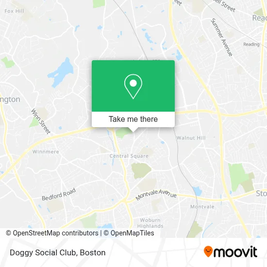 Doggy Social Club map