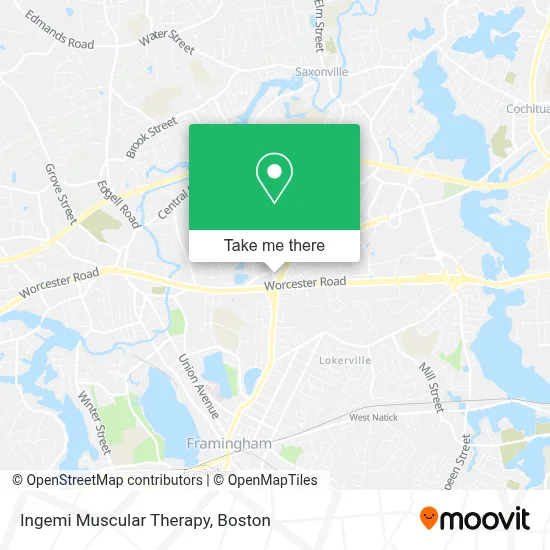 Ingemi Muscular Therapy map