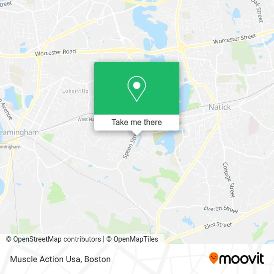 Muscle Action Usa map
