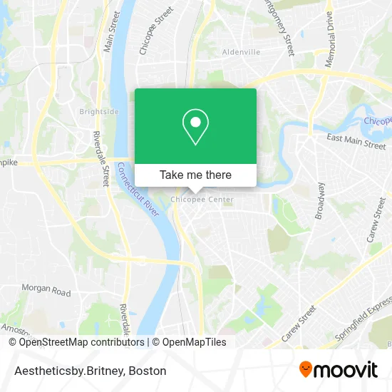 Aestheticsby.Britney map