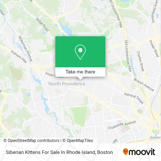 Siberian Kittens For Sale In Rhode Island map