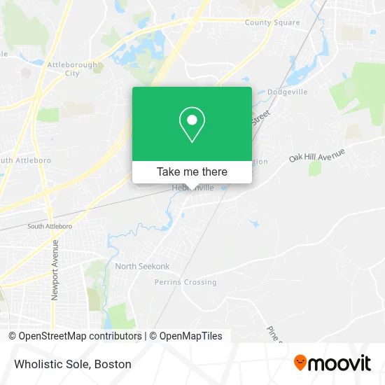 Wholistic Sole map
