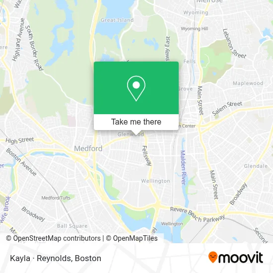 Kayla · Reynolds map