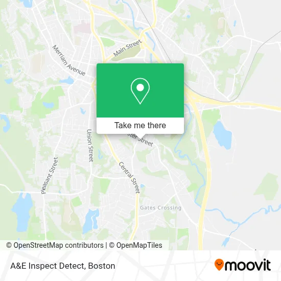 A&E Inspect Detect map
