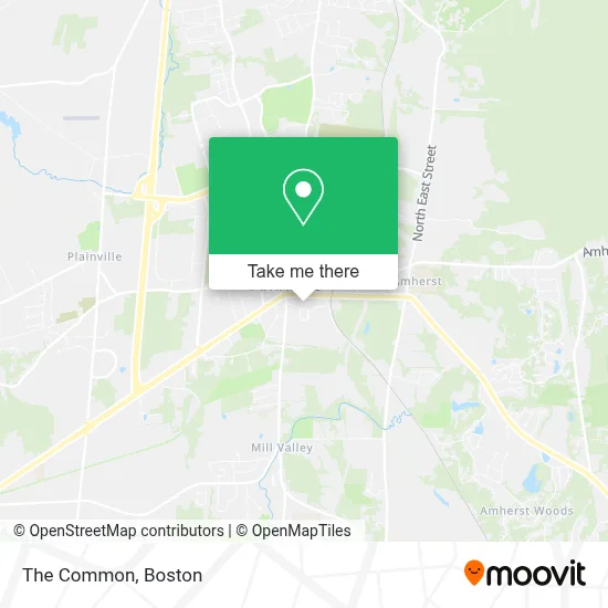 The Common map
