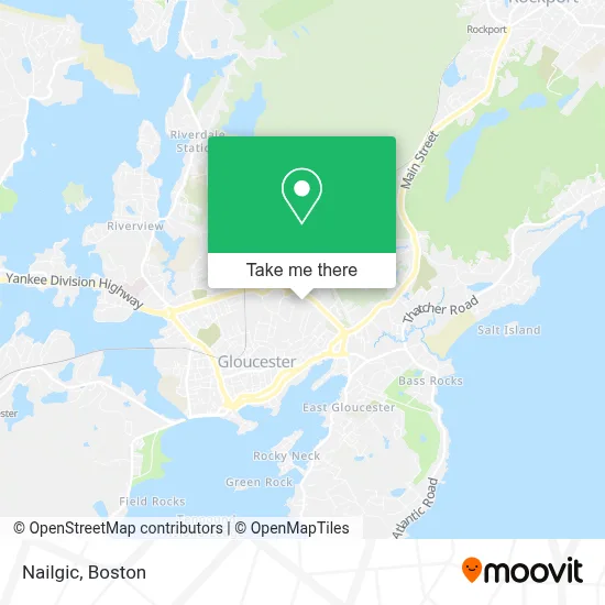 Nailgic map