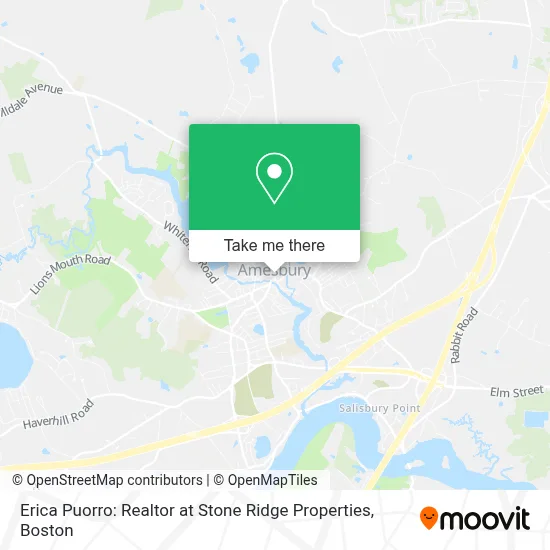 Erica Puorro: Realtor at Stone Ridge Properties map