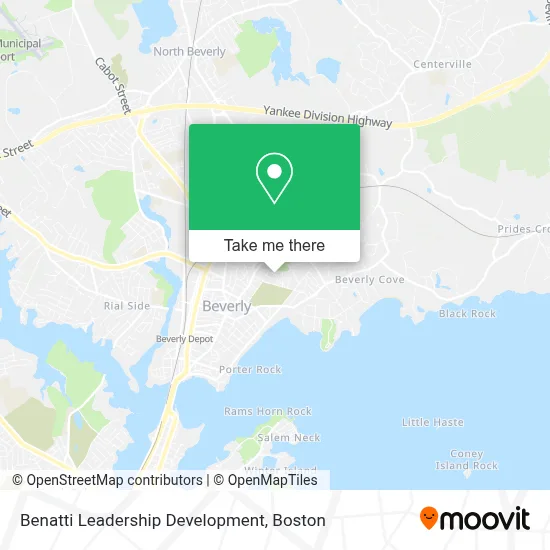 Benatti Leadership Development map
