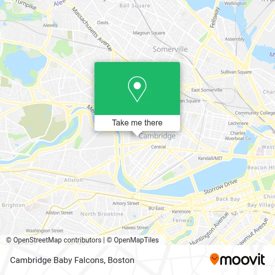 Cambridge Baby Falcons map