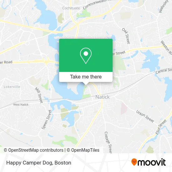 Happy Camper Dog map