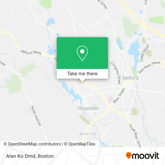 Alan Ko Dmd map