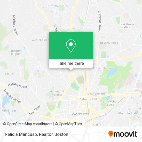 Felicia Mancuso, Realtor map