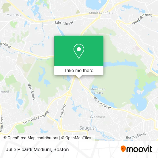 Julie Picardi Medium map
