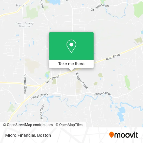 Micro Financial map