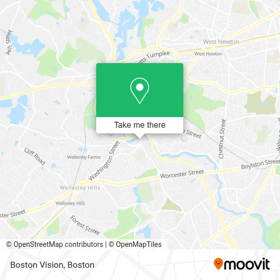 Boston Vision map