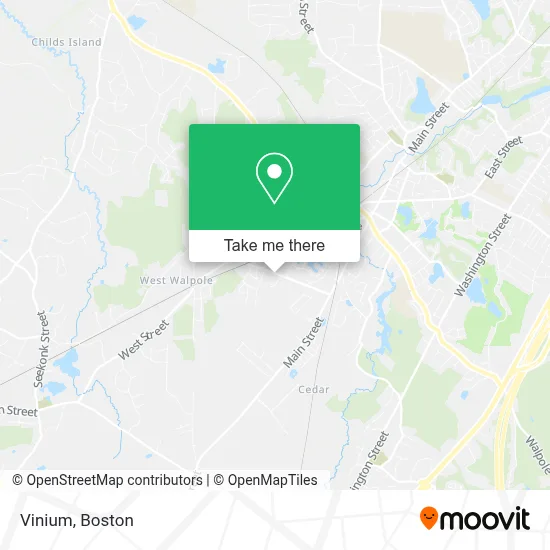 Vinium map