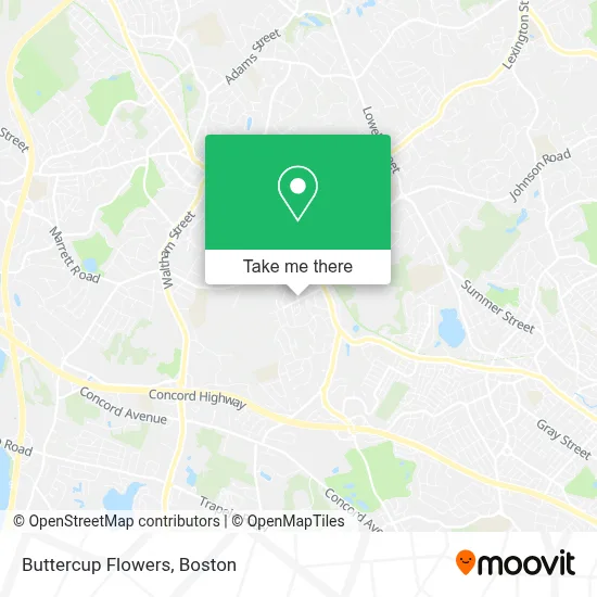Buttercup Flowers map