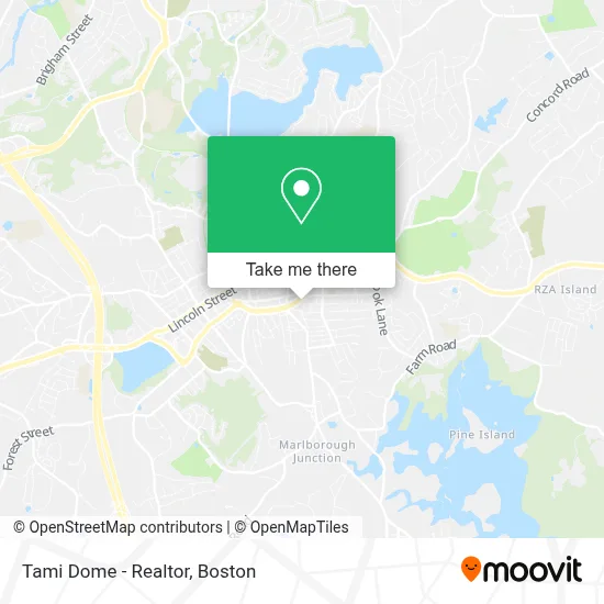 Tami Dome - Realtor map