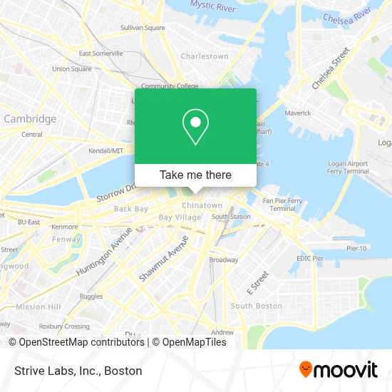 Strive Labs, Inc. map