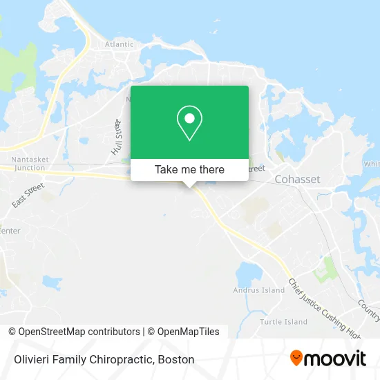 Olivieri Family Chiropractic map