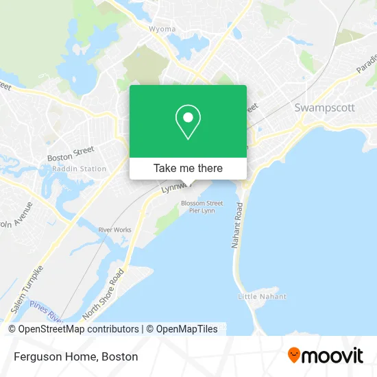 Ferguson Home map