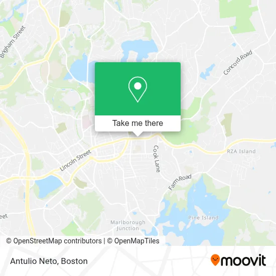 Antulio Neto map