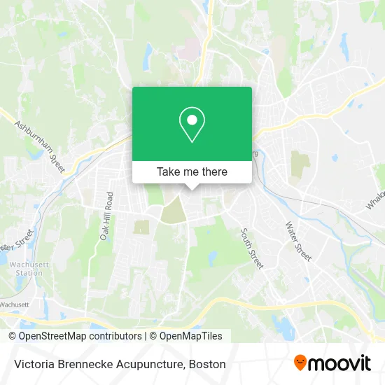 Victoria Brennecke Acupuncture map