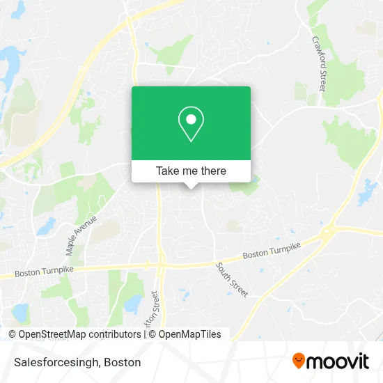Salesforcesingh map