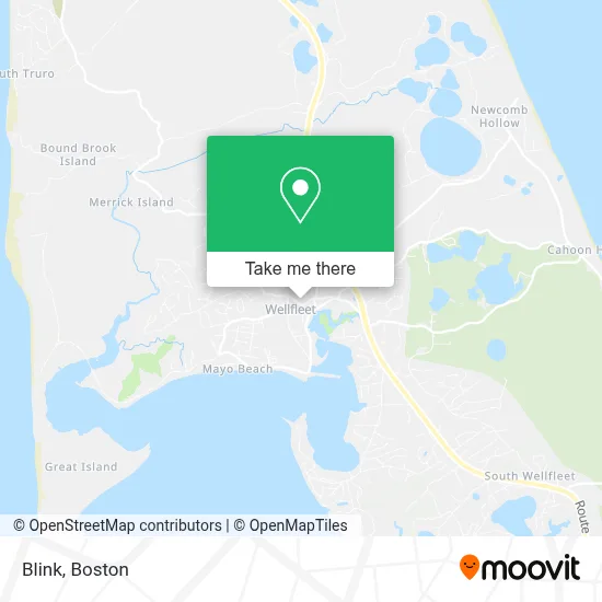 Blink map