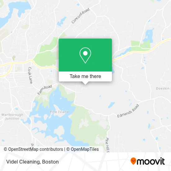 Videl Cleaning map