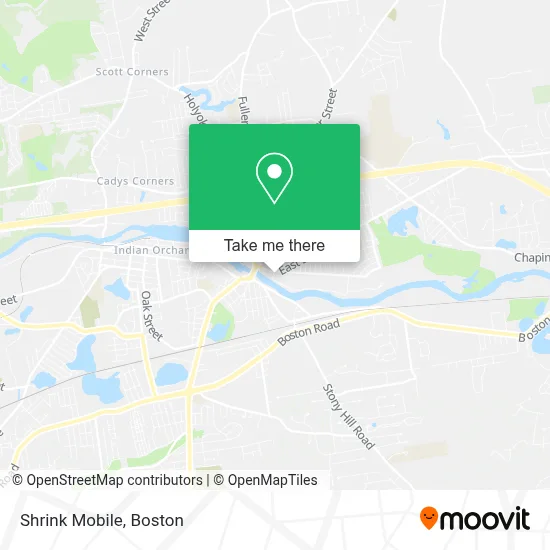 Shrink Mobile map