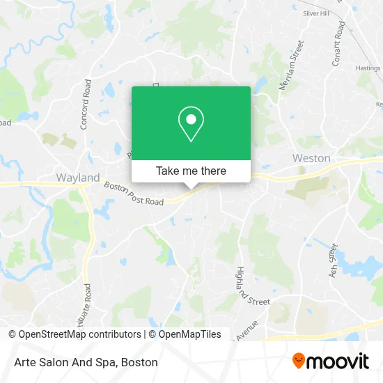 Arte Salon And Spa map