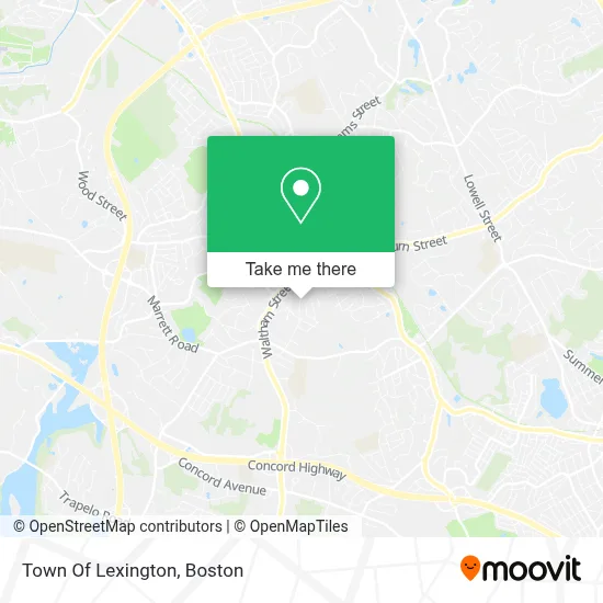 Town Of Lexington map