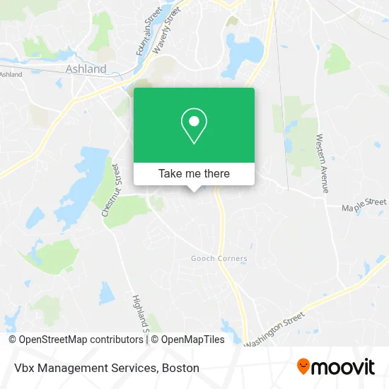 Vbx Management Services map